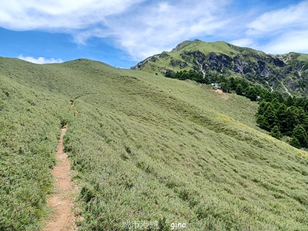 【南投仁愛】跟著我去旅行~-No16百岳奇萊北峰xNo21奇 【南投仁愛】跟著我去旅行~-No16百岳奇萊北峰xNo21奇