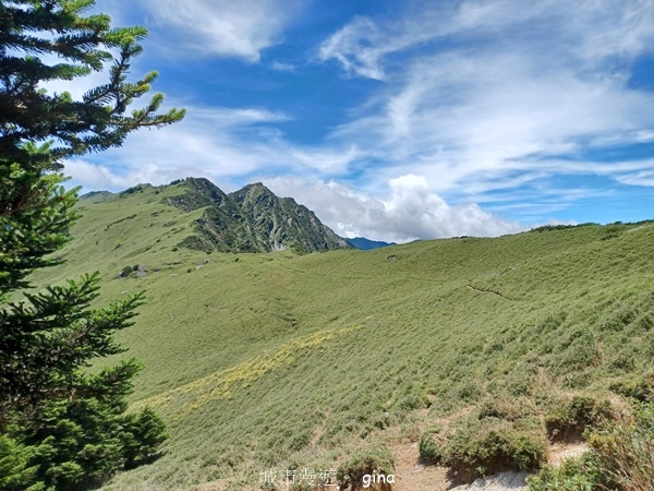 【南投仁愛】跟著我去旅行~-No16百岳奇萊北峰xNo21奇 【南投仁愛】跟著我去旅行~-No16百岳奇萊北峰xNo21奇