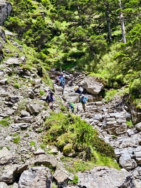 【南投仁愛】跟著我去旅行~-No16百岳奇萊北峰xNo21奇 【南投仁愛】跟著我去旅行~-No16百岳奇萊北峰xNo21奇