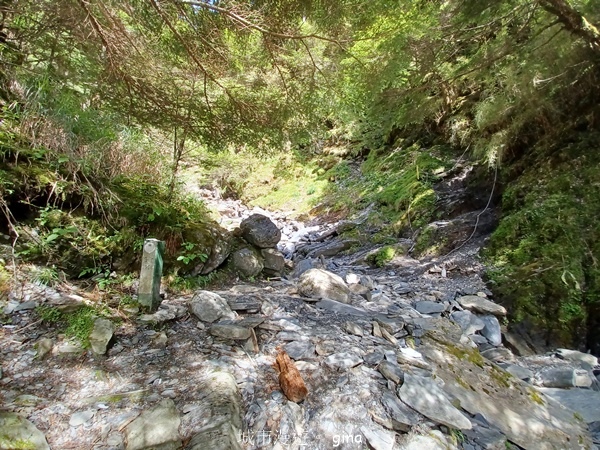 【南投仁愛】跟著我去旅行~-No16百岳奇萊北峰xNo21奇 【南投仁愛】跟著我去旅行~-No16百岳奇萊北峰xNo21奇