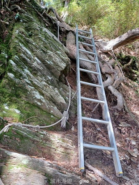 【南投仁愛】跟著我去旅行~-No16百岳奇萊北峰xNo21奇 【南投仁愛】跟著我去旅行~-No16百岳奇萊北峰xNo21奇