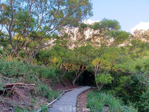 【台中大肚】大肚萬里長城登山步道