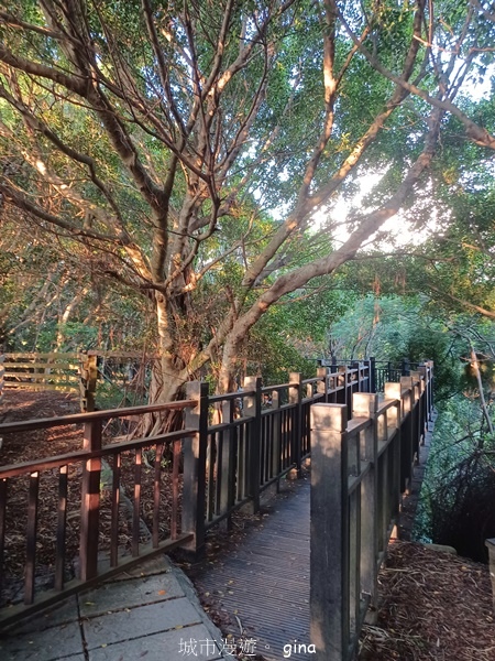 【台中大肚】大肚萬里長城登山步道