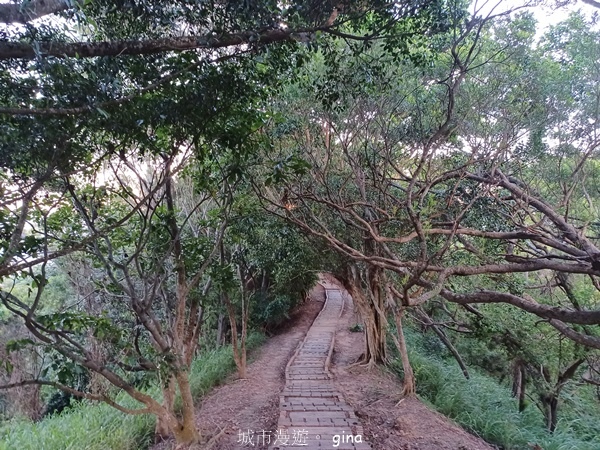 【台中大肚】大肚萬里長城登山步道