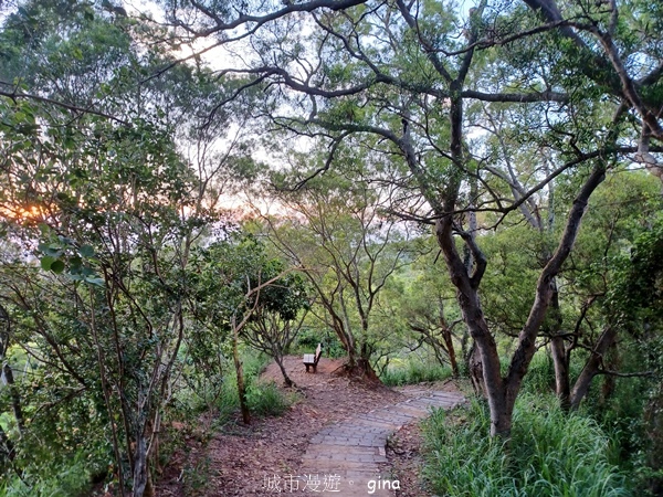 【台中大肚】大肚萬里長城登山步道