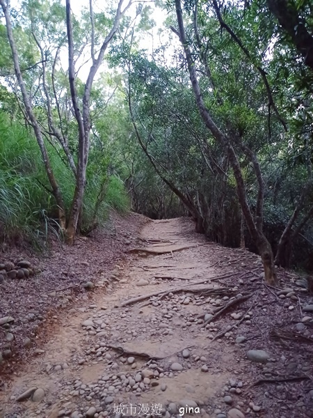【台中大肚】大肚萬里長城登山步道