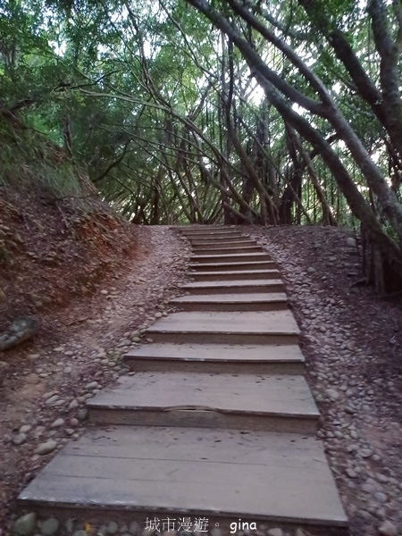【台中大肚】大肚萬里長城登山步道