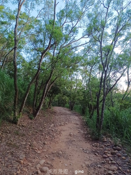 【台中大肚】大肚萬里長城登山步道