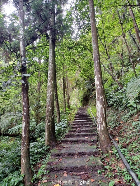 20240817_093003.jpg