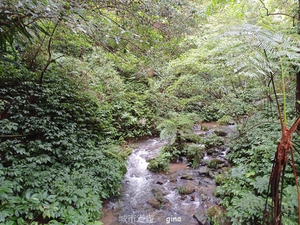 20240817_094020.jpg