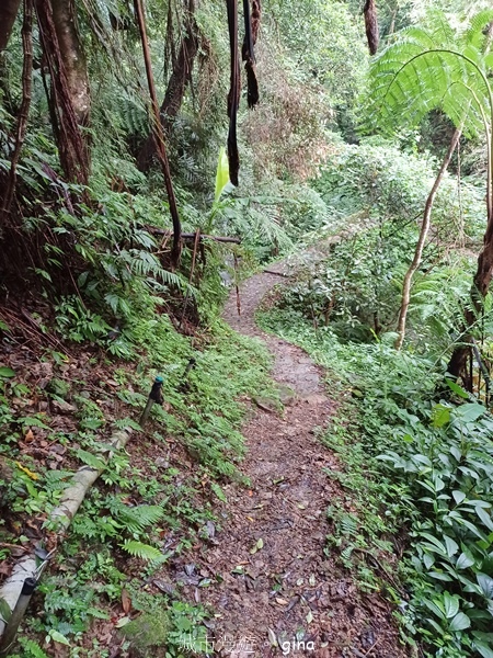 20240817_093927.jpg