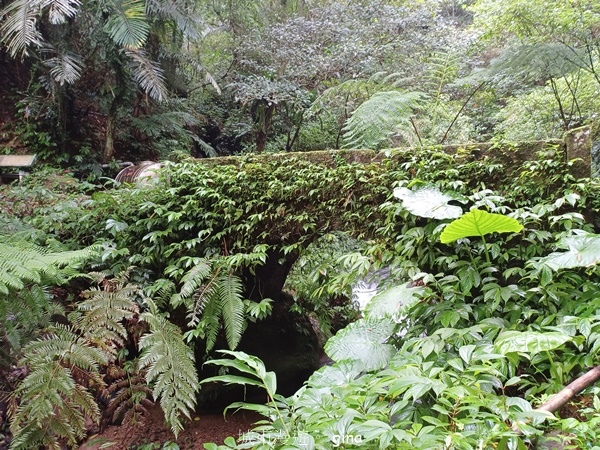 20240817_094106.jpg