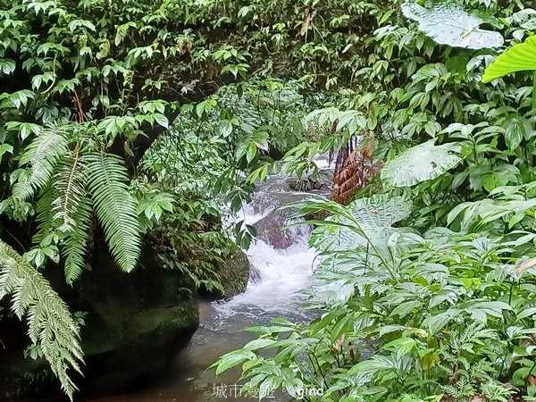 20240817_094122.jpg