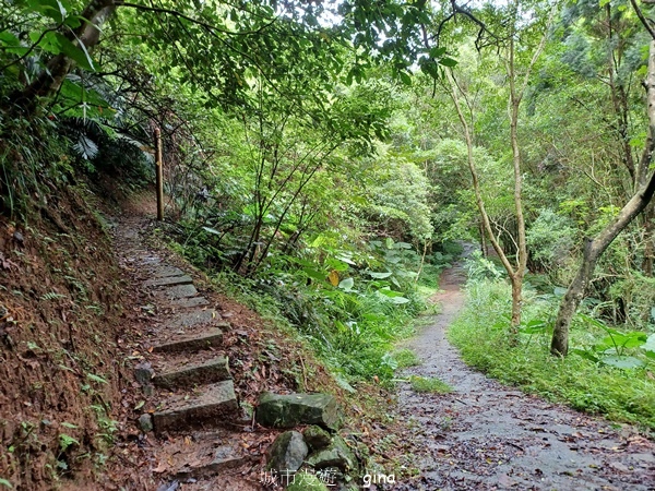 20240817_101220.jpg