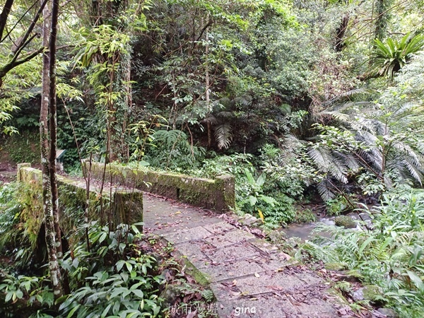 20240817_101806.jpg