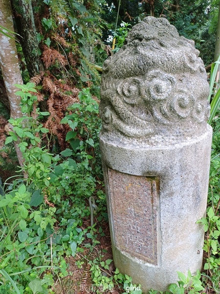 20240817_102518.jpg