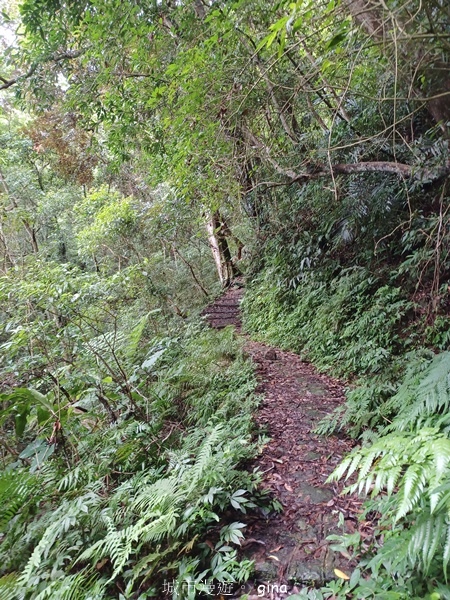 【新竹橫山】廢棄小學變身山城驛站。 逃學古道x逃學古道x