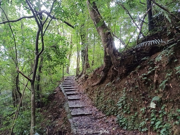 【新竹橫山】廢棄小學變身山城驛站。 逃學古道x逃學古道x