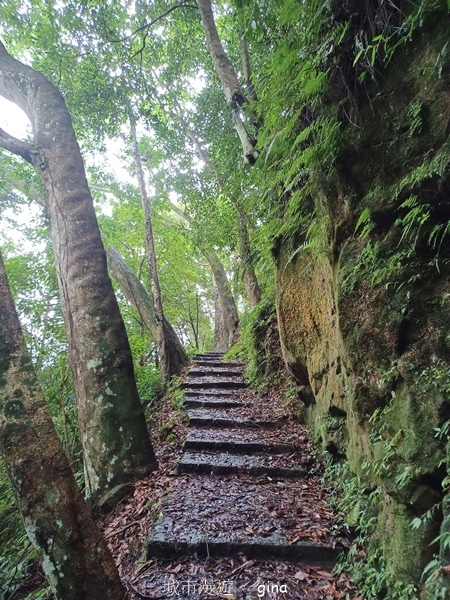 【新竹橫山】廢棄小學變身山城驛站。 逃學古道x逃學古道x