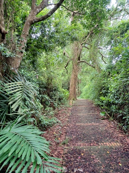 【新竹峨嵋】跟著我去旅行~新竹峨嵋~十二寮古道