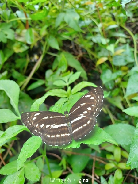 【新竹峨嵋】跟著我去旅行~新竹峨嵋~十二寮古道