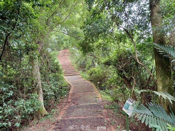 【新竹峨嵋】跟著我去旅行~新竹峨嵋~十二寮古道