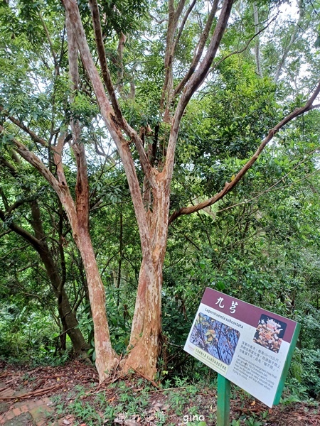 【新竹峨嵋】跟著我去旅行~新竹峨嵋~十二寮古道