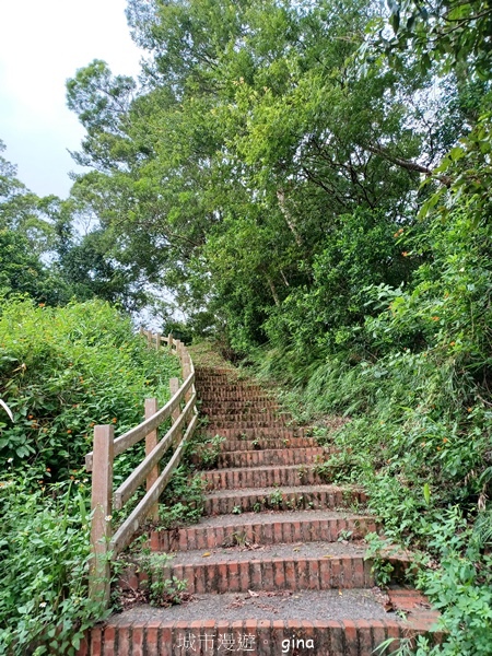 20240817_134458.jpg
