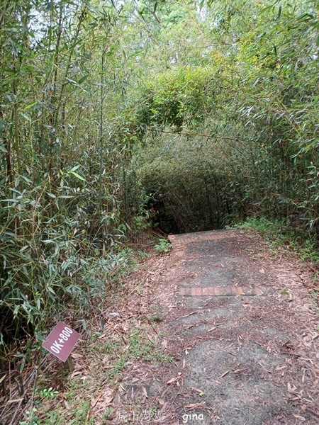 20240817_135120.jpg