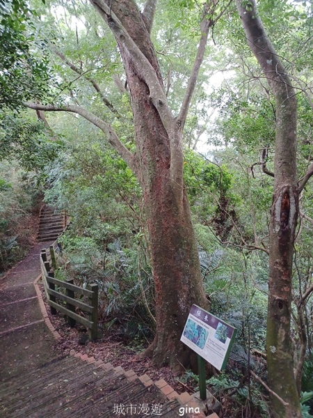 【新竹峨嵋】跟著我去旅行~新竹峨嵋~十二寮古道