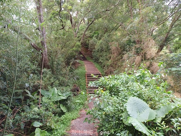 20240817_140032.jpg