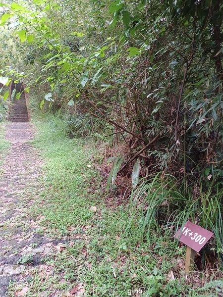 【新竹峨嵋】跟著我去旅行~新竹峨嵋~十二寮古道