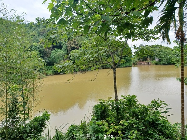 20240817_142514.jpg