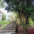 20240824_164058.jpg