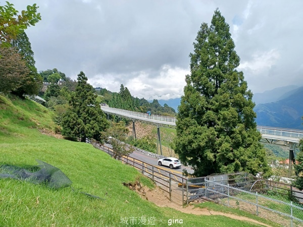 【2024.08.24】跟著我去旅行~南投仁愛~清境農場景觀