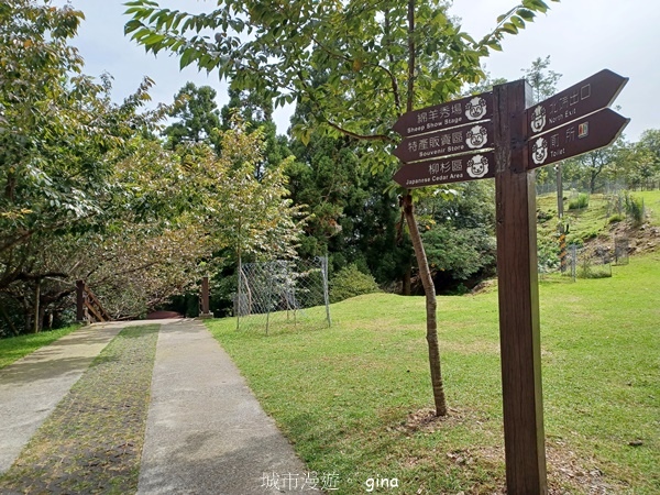 【2024.08.24】跟著我去旅行~南投仁愛~清境農場景觀