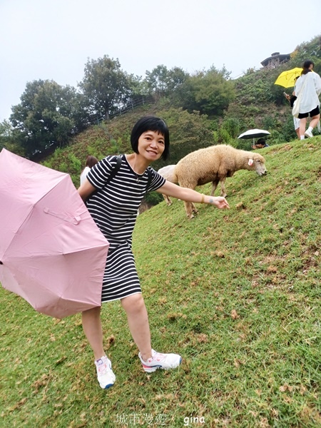 【2024.08.24】跟著我去旅行~南投仁愛~清境農場景觀
