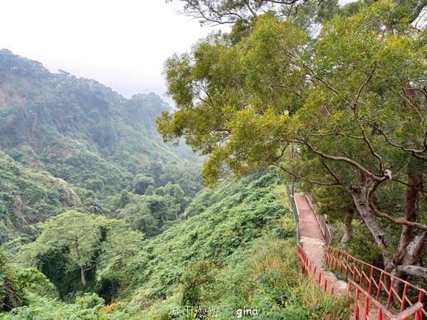 【2025.01.01】跟著我去旅行~田中森林步道赤水崎公園