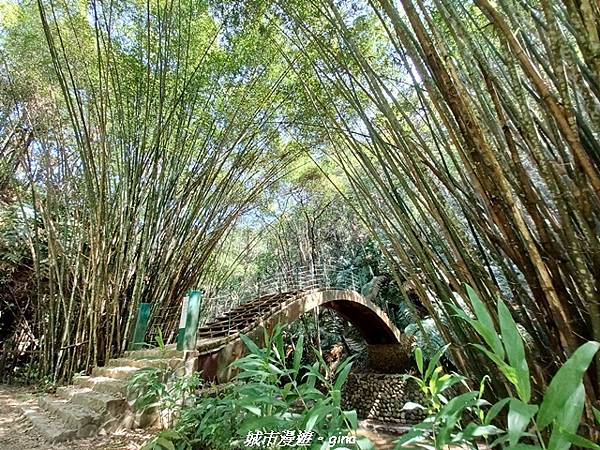 【南投魚池】澀水森林步道