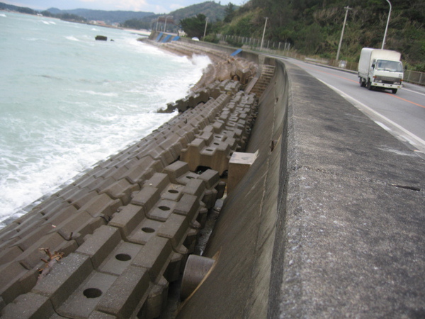 (圖四)沖繩國頭村伊地建置生態廊道之一隅.JPG