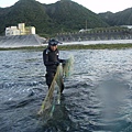 浮潛區違規漁網予清除.JPG
