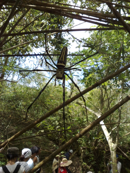 20080819041.jpg