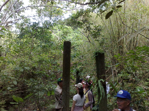 20080819044.jpg