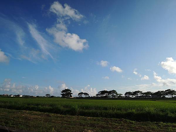 DSCN9704.JPG