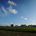 DSCN9704.JPG