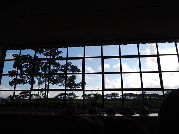 DSCN9707.JPG