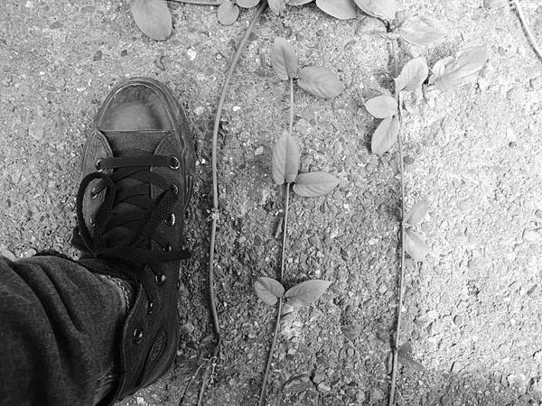 DSCN9261.JPG