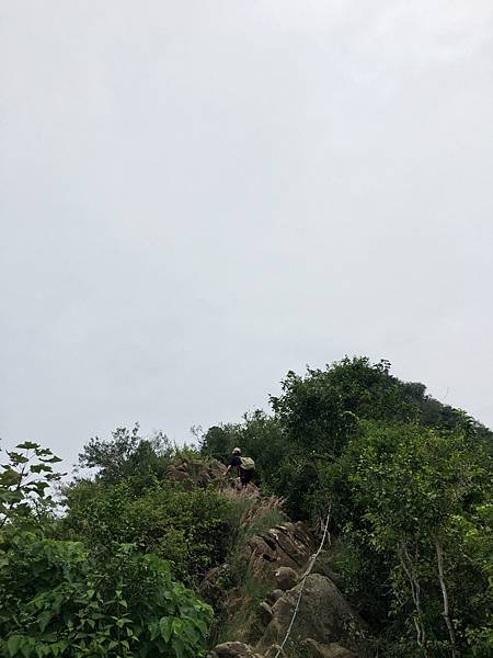 IMG_8273.JPG
