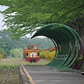 哇！來了！來了！五分車遠遠地駛了過來！