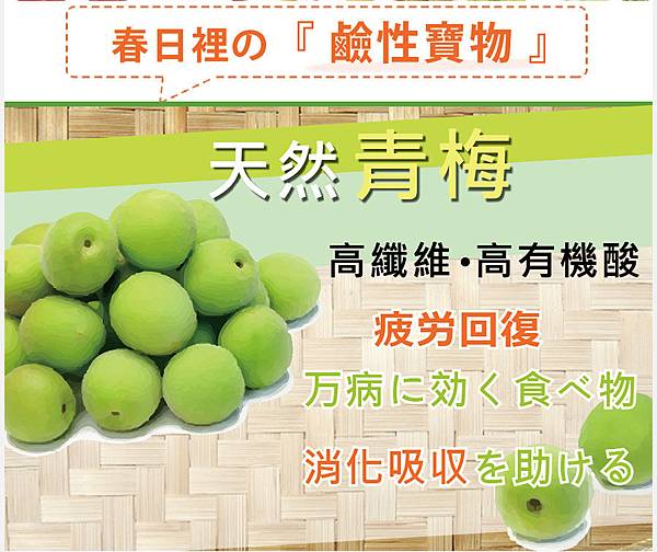 EDM03.jpg 試用